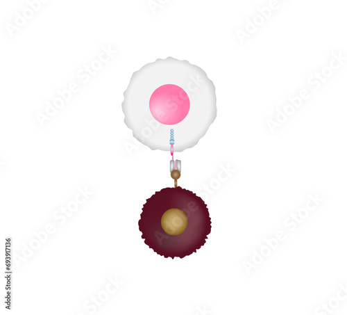 CAR T-cell therapy and Cancer treatment . Cancer therapy. CAR T cells immunotherapy. Chimeric antigen receptor T cells. T cell receptor proteins that have been engineered to kill cancer cells.