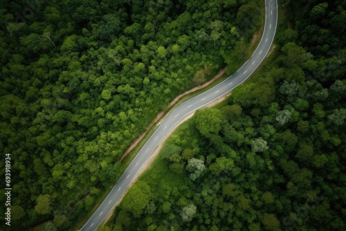 Aerial view road in middle of the forest. Winding road in the forest. Ecosystem ecology healthy environment road trip travel.