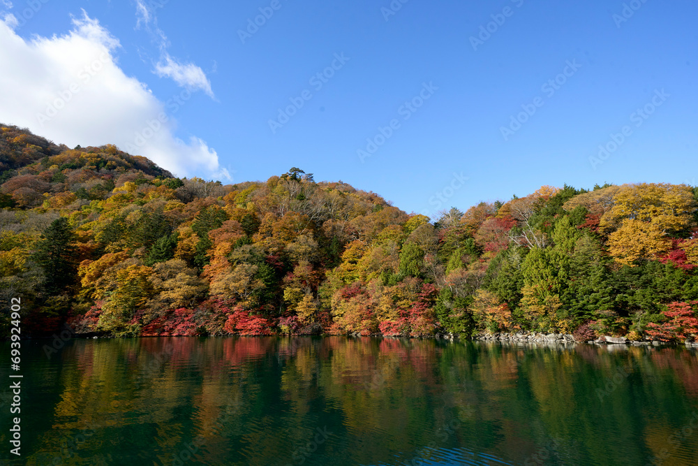 lake in autumn in tochigi, japan