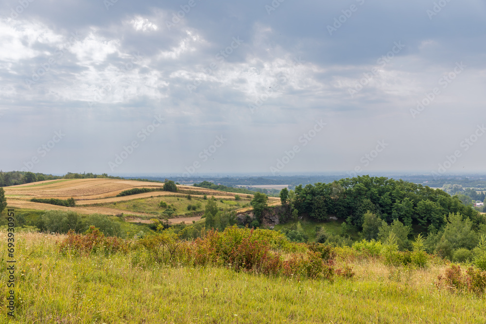 Rural scenery, view of meadows, farmlands, hills, forest, clumps of bushes Rural scenery, view of meadows, farmlands, hills, forest, clumps of bushes