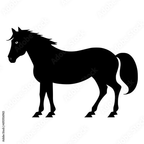 horse silhouette isolated on white