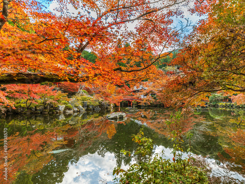 Fototapeta Naklejka Na Ścianę i Meble -  A Temple with Maple Leaves in Kyoto