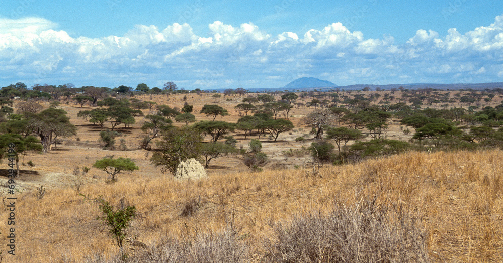 Sécheresse Parc national du Tarangire, Tanzanie