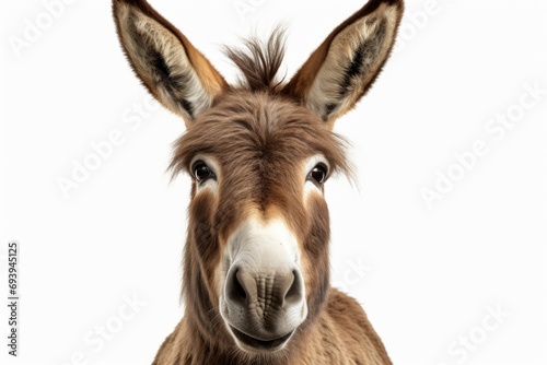 A close-up view of a donkey's face on a white background. This image can be used in various contexts
