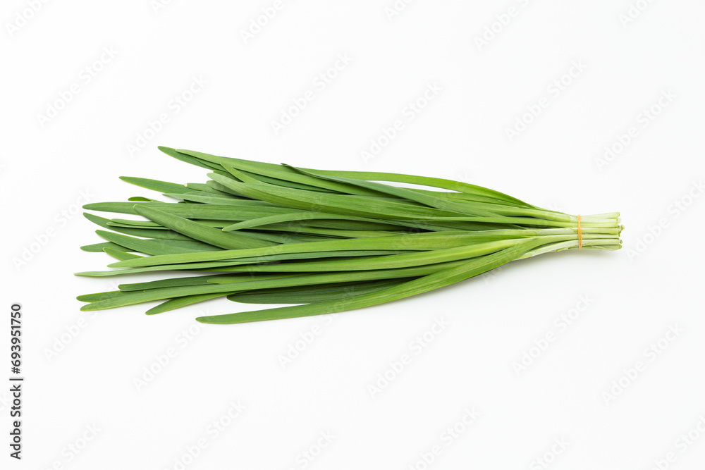 Fototapeta premium 白背景にニラ
