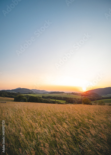 Grain field at sunset with blue sky in Beskydy mountains  Czech Republic