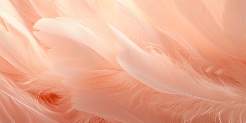 Crédence de cuisine Pantone 2024 Peach Fuzz light airy feathers of light peach color, banner, poster  © Dmitriy