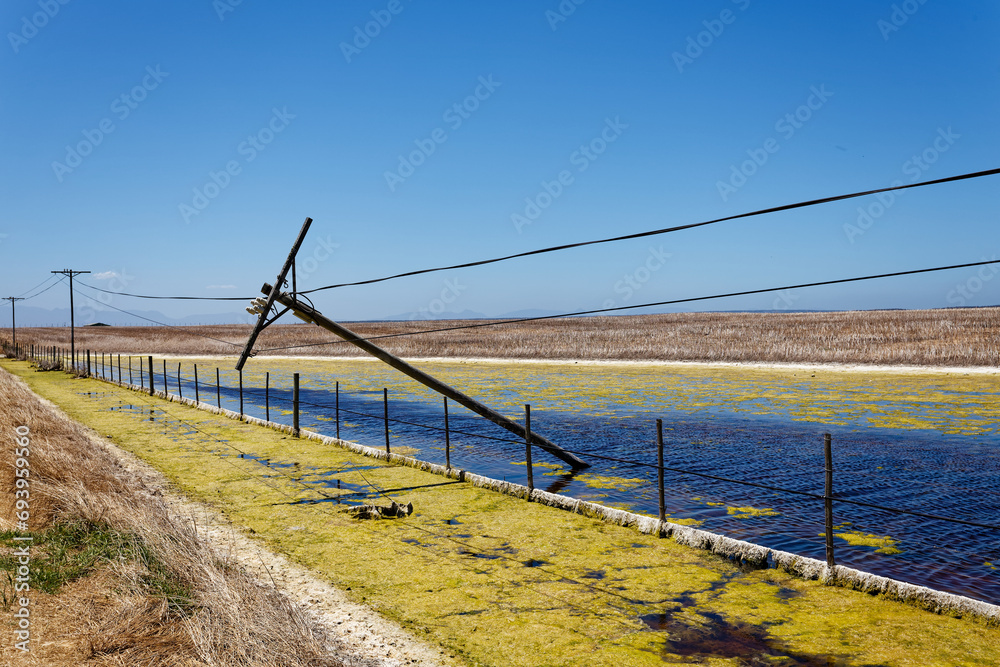A telephone pole that toppled over after standing in a pool of water in the Western Cape, South Africa.