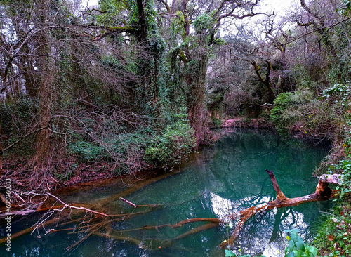 Blue river through  a wild forest lqndscqpe photo