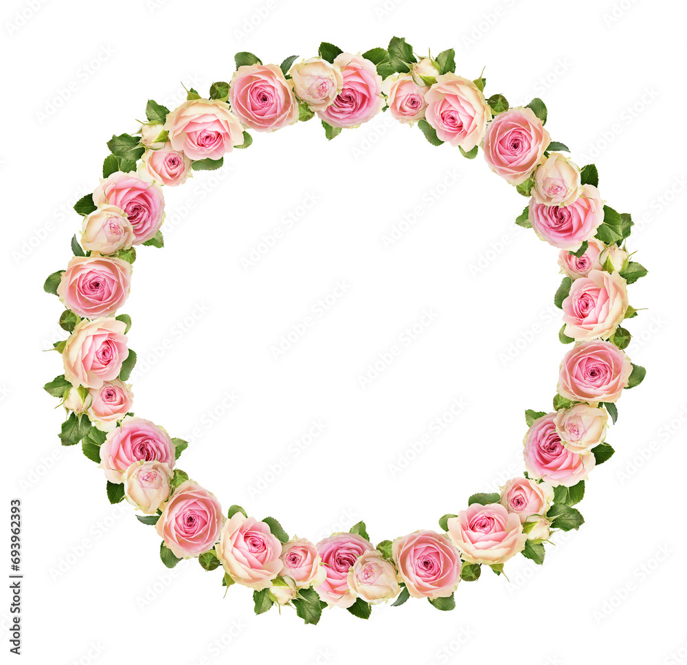 Small pink rose flowers in a floral round frame isolated on white or transparent background Small pink rose flowers in a floral round frame isolated on white or transparent background