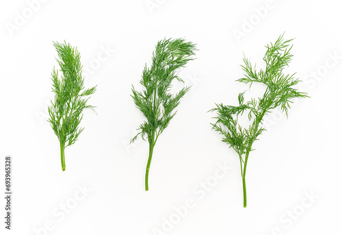 Three sprigs of green fresh dill on a white background isolated. Greens for health.