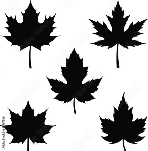 Set of Maple Leaf Silhouettes Vector Icon Illustration.