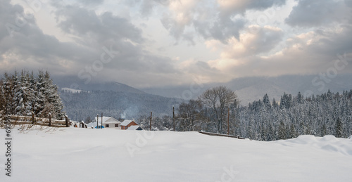 Snowfall over countryside hills, groves and farmlands in winter remote alpine mountain village