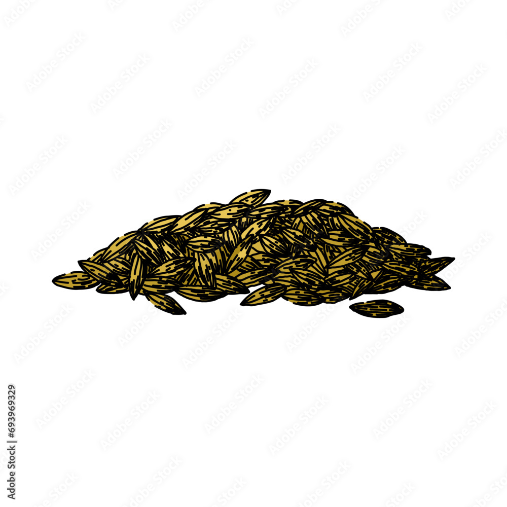 spice cumin hand drawn. ingredient food, herb aroma, seed cuisine spice cumin vector sketch. isolated color illustration spice cumin hand drawn. ingredient food, herb aroma, seed cuisine spice cumin vector sketch. isolated color illustration