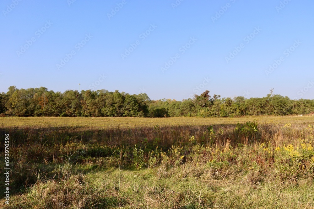 The country field on a sunny day. The country field on a sunny day.
