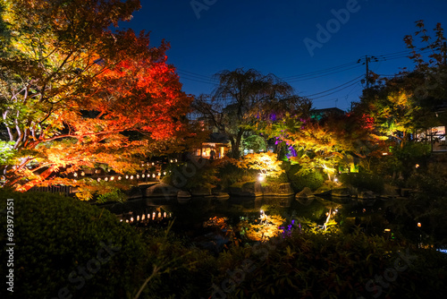 東京都豊島区 目白庭園 紅葉のライトアップ