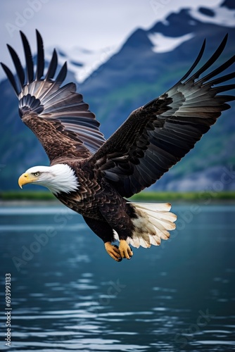 A majestic bald eagle soaring through the sky above a serene body of water. Perfect for nature and wildlife enthusiasts