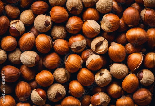 Autumn's Nutty Treasure A Hazelnut Close Up photo