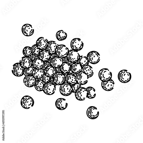 vegan lentils hand drawn. red green, raw table, grain meal vegan lentils vector sketch. isolated black illustration