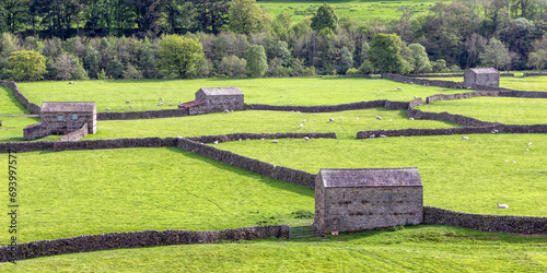 Fields and traditional stone barns and dry stone walls near Gunnerside in Swaledale, Yorkshire Dales, England photo