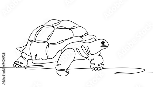 Turtle. Stand. Go. One line