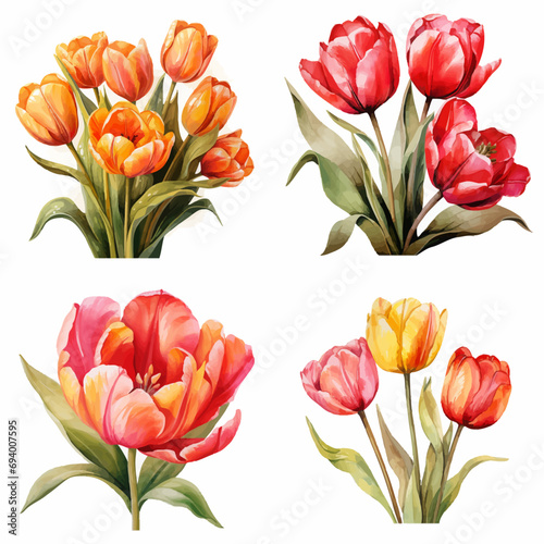 tulip  flower  bouquet  spring  tulips  isolated  red  nature  flowers  bunch  blossom  floral  beauty  white  pink  bloom  plant  flora  leaf  gift  petal  arrangement  colorful  stem  garden