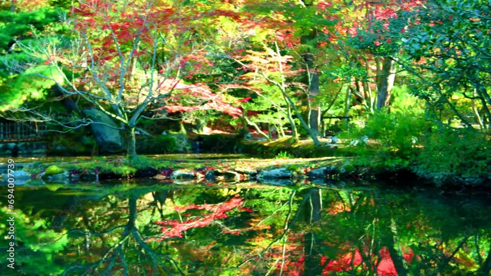 湖面に反射する早朝の逆さ紅葉 pan 18sec 湖面に反射する早朝の逆さ紅葉 pan 18sec