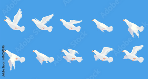 Pigeon animation. Bird motion wings in heaven. Flying migratory pigeon  cartoon  illustration. Bird dove animation element. White pigeon flight sequences