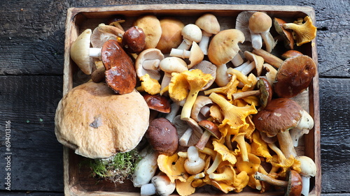 Box of fresh mixed forest mushrooms on wooden table