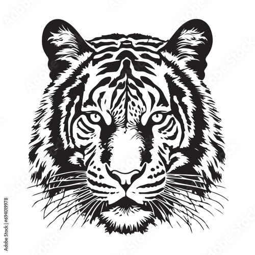 tiger, cat, animal, wildlife, white, feline, wild, mammal, bengal, predator, nature, zoo, stripes, striped, carnivore, isolated, fur, siberian, big, black, jungle, hunter