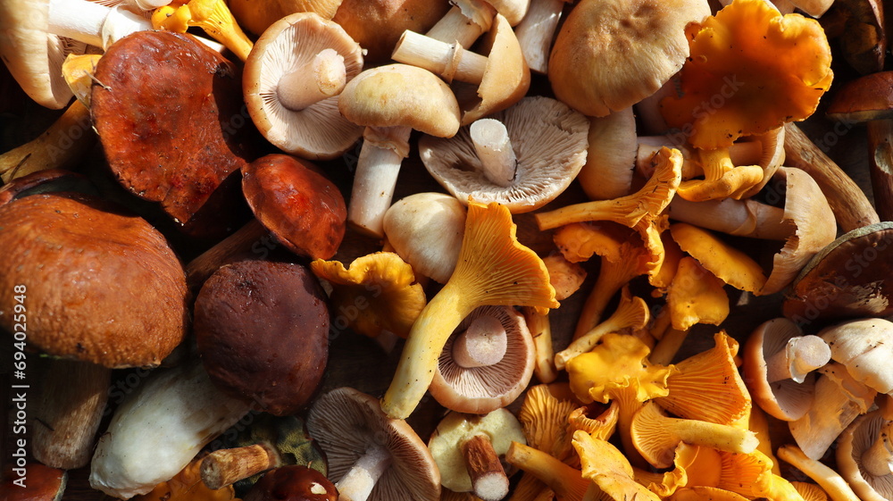 Fresh mixed of forest mushrooms on cutting board over old wooden table Fresh mixed of forest mushrooms on cutting board over old wooden table