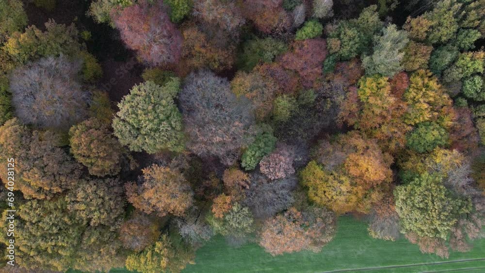 Autumn Forest to Green Field Agriculture Transition Aerial Drone Footage Autumn Forest to Green Field Agriculture Transition Aerial Drone Footage
