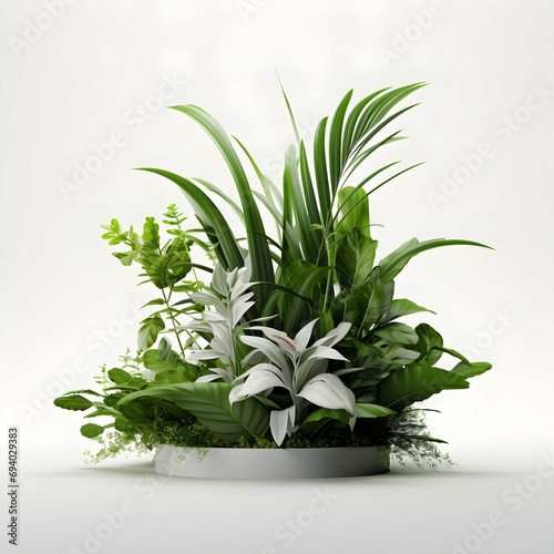 beautiful white background ornamental plants