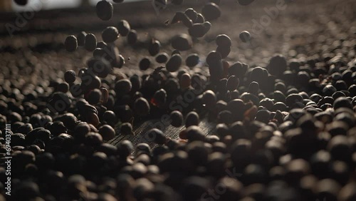 Super Slow Motion Shot of Ground Coffee and Fresh Beans Explosion Towards Camera 