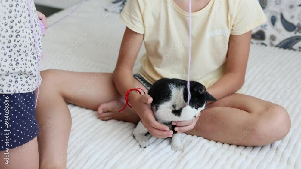 A black and white fluffy ball of joy is jumping on the bed, trying to grab the string that the children are holding A black and white fluffy ball of joy is jumping on the bed, trying to grab the string that the children are holding