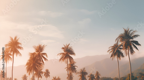 row of palm tree tops © l1gend