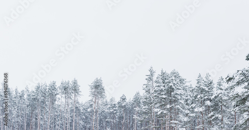 Snowy coniferous dense forest © Сергей Старостов