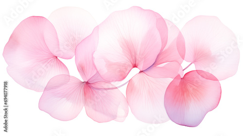 Fototapeta Naklejka Na Ścianę i Meble -  Orchid pink petals watercolor illustration isolated on white background for wedding stationery design, Valentine’s Day romance and love card print. Gradient floral art pink petal closeup by Vita