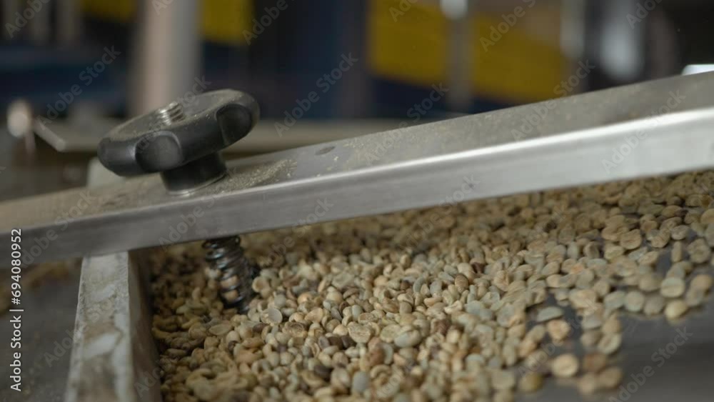 Specialty coffees being selected in a technological warehouse, prepared for being roasted

