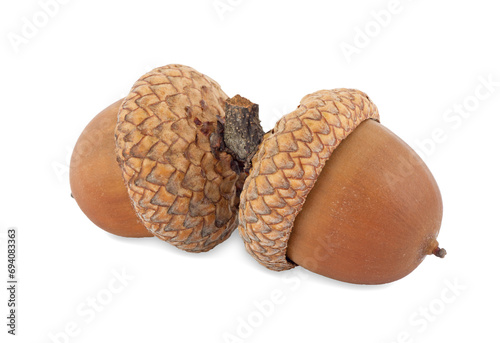 Two acorns isolated on white background