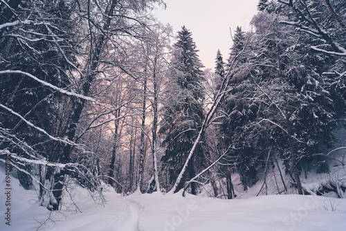 Image from the valley of the Olterudelva River, Toten, Norway, in winter. photo