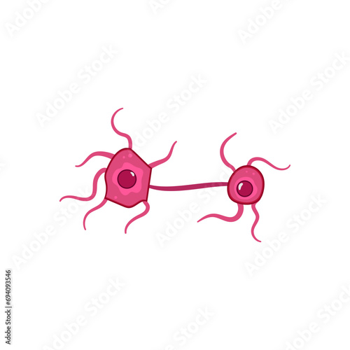 brain neurons cartoon. cell system, nerve synapse, structure human brain neurons sign. isolated symbol vector illustration