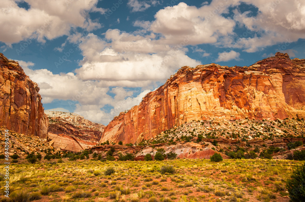 Capitol Reef National Forest,