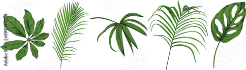 Leaves isolated on white collection. Tropical leaves set. Hand drawn vintage illustration.