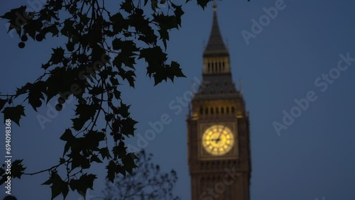 Rack focus from hanging leaves to a lit up Big Ben in the Elizabeth clock tower in Westminster, London, UK
