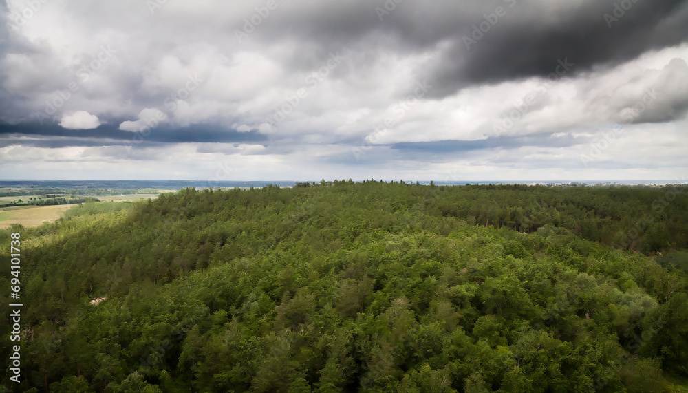 Green forest under cloudy sky