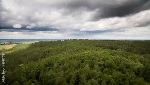 Green forest under cloudy sky