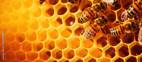 closeup of honeycomb with bees making honey.