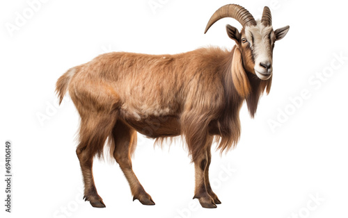 Goat Majesty Unveiled Beauty Isolated on Transparent Background PNG.