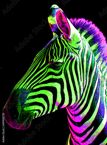 Zebras sign illustration pop-art background icon with color spots